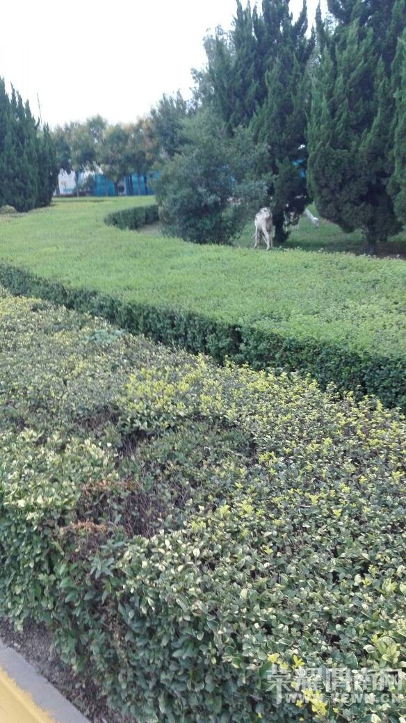 ���˰��򶼷ŵ��̻����ϳԲ��ˡ�����ɶ���ʰ���