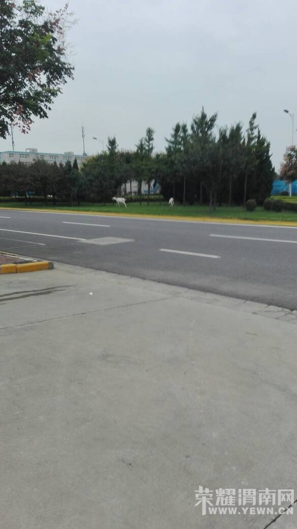 ���˰��򶼷ŵ��̻����ϳԲ��ˡ�����ɶ���ʰ���