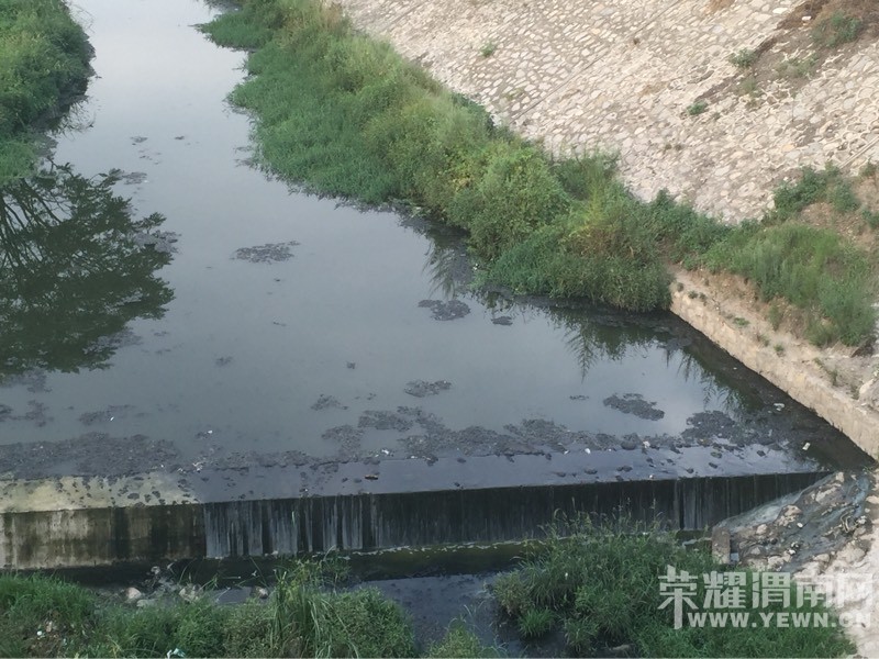 �����ִ��Ÿ�����ˮ�̱ǣ�ˮ������ô�ˣ�