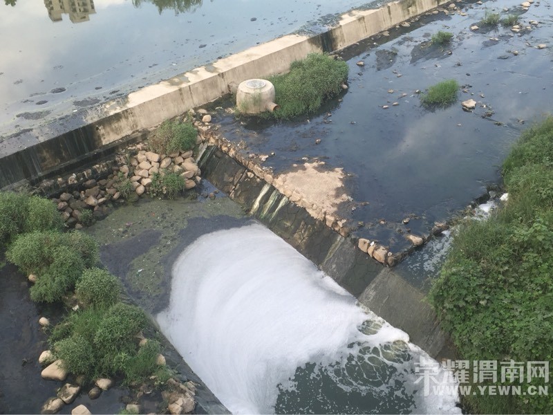 �����ִ��Ÿ�����ˮ�̱ǣ�ˮ������ô�ˣ�