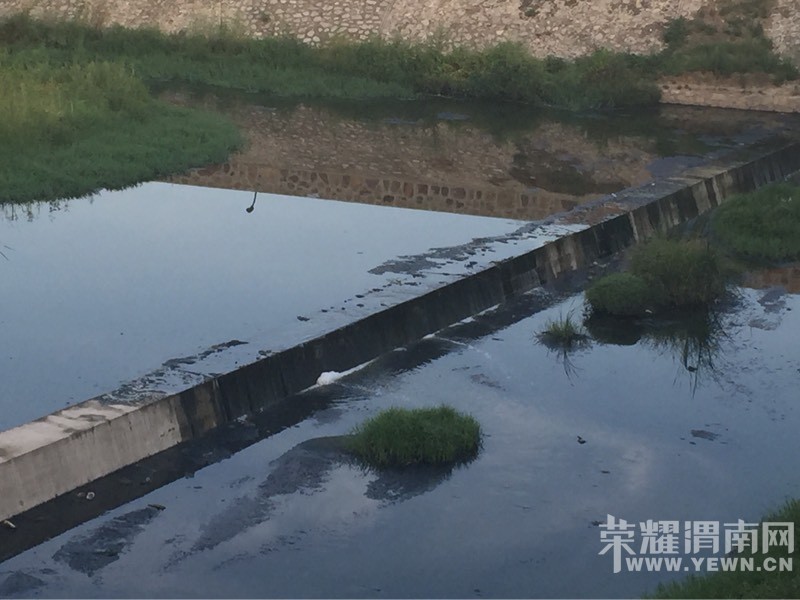 �����ִ��Ÿ�����ˮ�̱ǣ�ˮ������ô�ˣ�