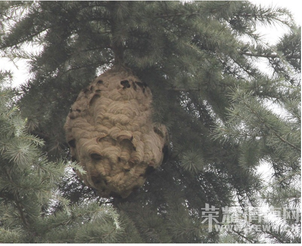 μ��ʦ��ѧԺ�־���ͷ����  ����Ա5���ӵ���