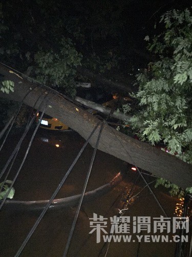 ������֣����·����Ŀ��˵���