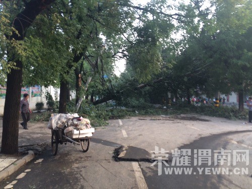 ����һ����������ε�����ô������