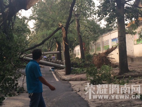 ����һ����������ε�����ô������