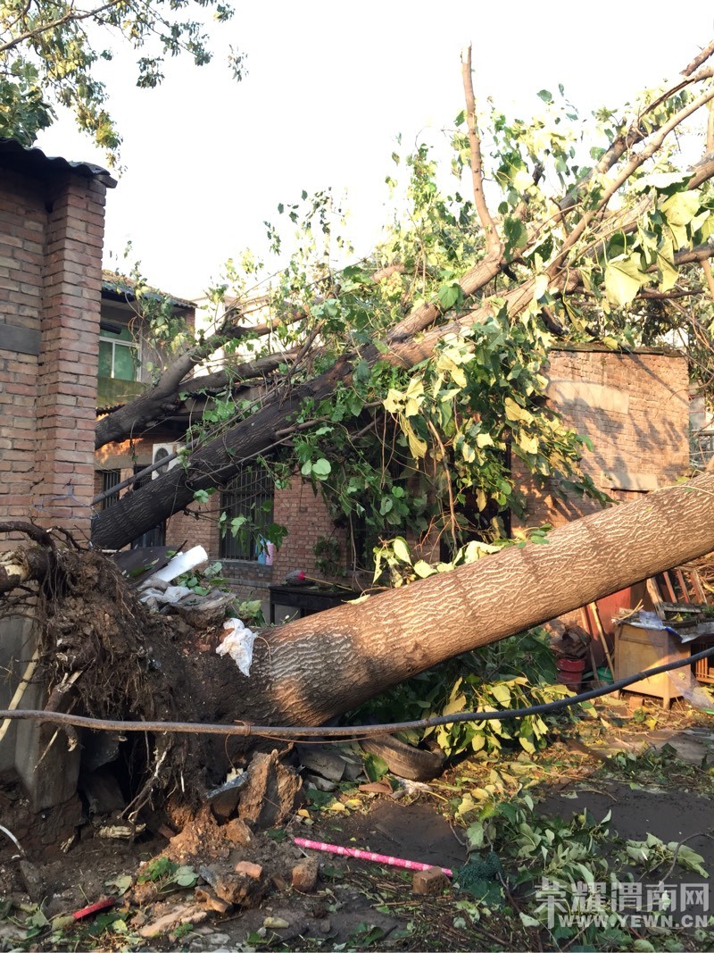 ����һ����罫�߰˿ô����ε����򳧷� Ҫ����ô�죿