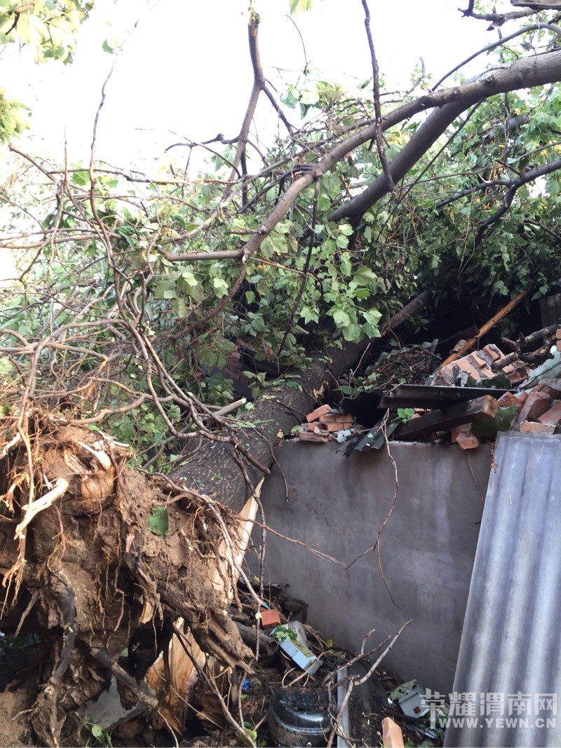 ����һ����罫�߰˿ô����ε����򳧷� Ҫ����ô�죿