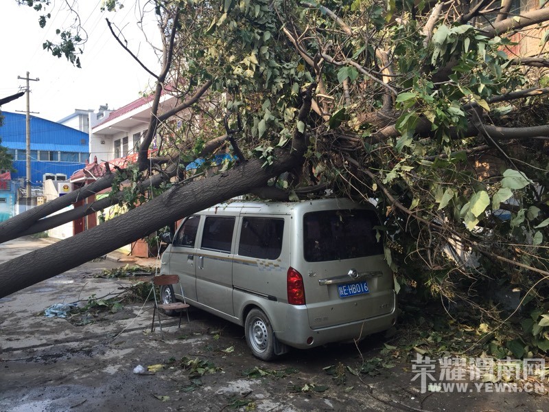 ����һ����罫�߰˿ô����ε����򳧷� Ҫ����ô�죿