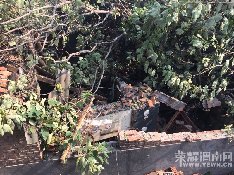 ����һ����罫�߰˿ô����ε����򳧷� Ҫ����ô�죿