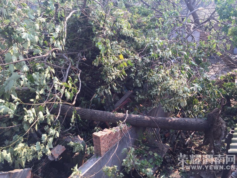 ����һ����罫�߰˿ô����ε����򳧷� Ҫ����ô�죿