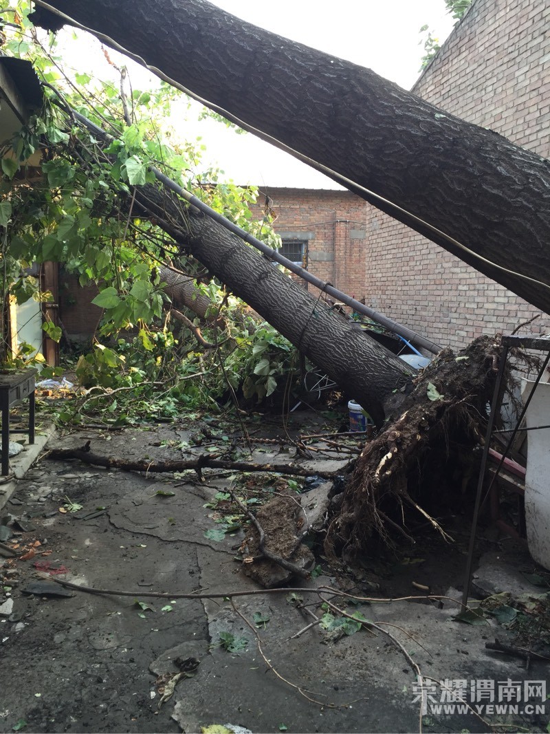 ����һ����罫�߰˿ô����ε����򳧷� Ҫ����ô�죿