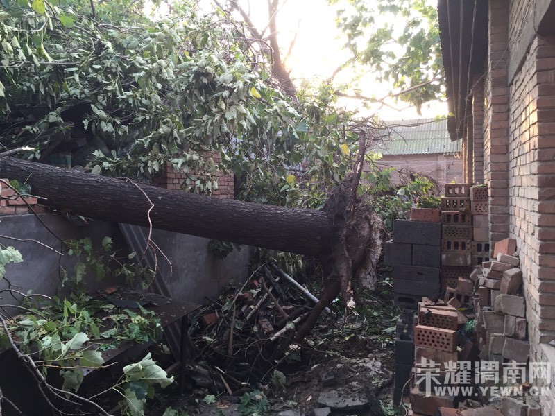 ����һ����罫�߰˿ô����ε����򳧷� Ҫ����ô�죿