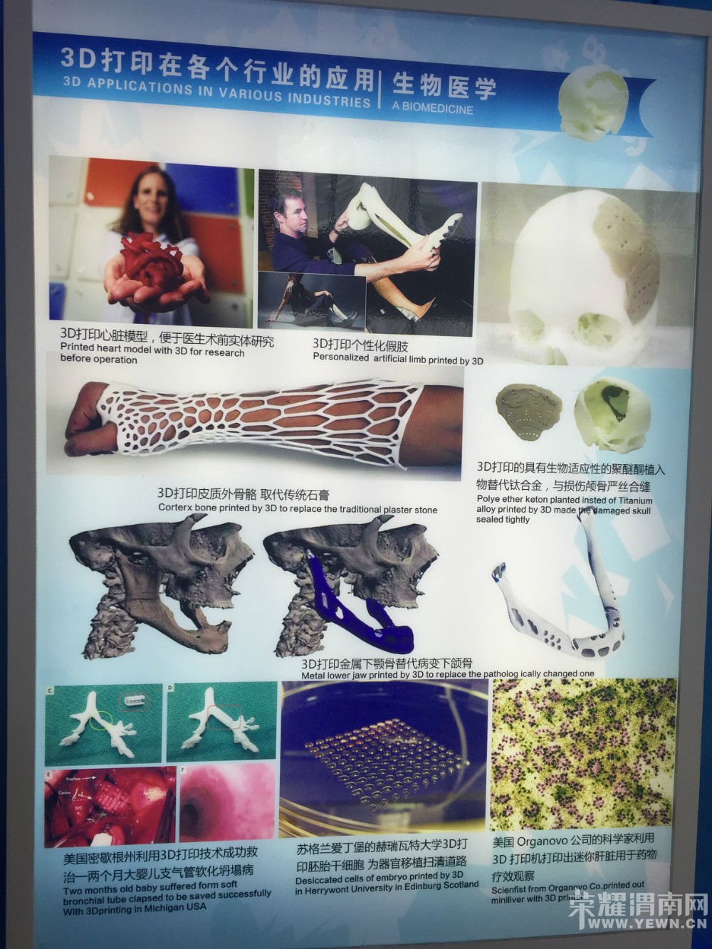 �߽�3D��ӡ��һ��