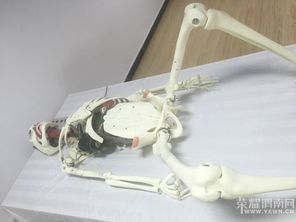 �߽�3D��ӡ(��)