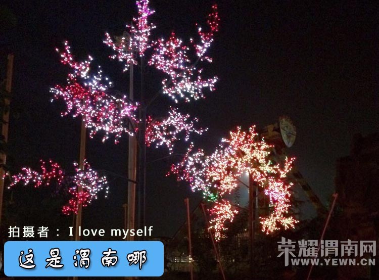 ������μ����-115�ڡ��ٵļٵģ������Ǽٵģ������Ǽٵģ�