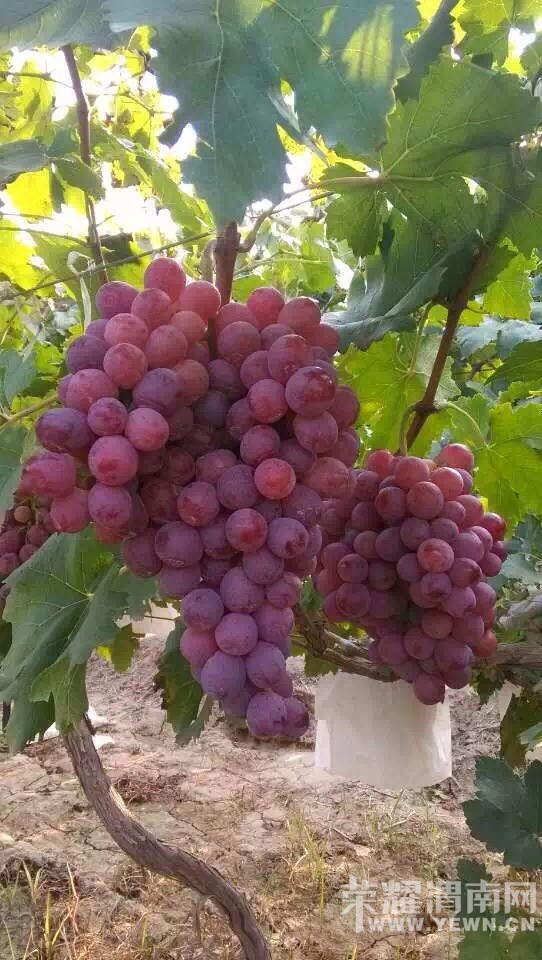 ����Ǽ��̫������ʺ������ˣ�