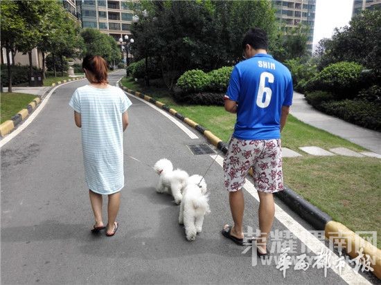 ��ҧ��������ҧ�ˣ������˱��޹�����ҧ��(ͼ)