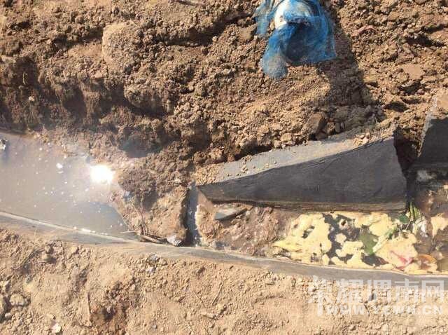 ˭���԰�����ǣ� ����ɢ  �������лл�����