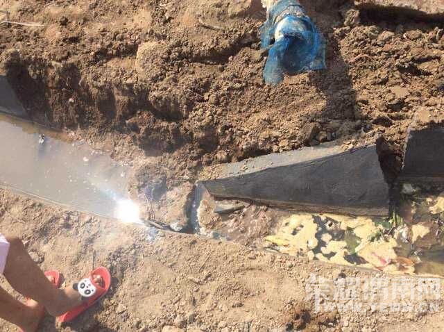 ˭���԰�����ǣ� ����ɢ  �������лл�����