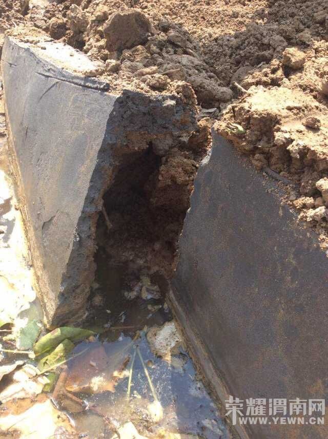 ˭���԰�����ǣ� ����ɢ  �������лл�����