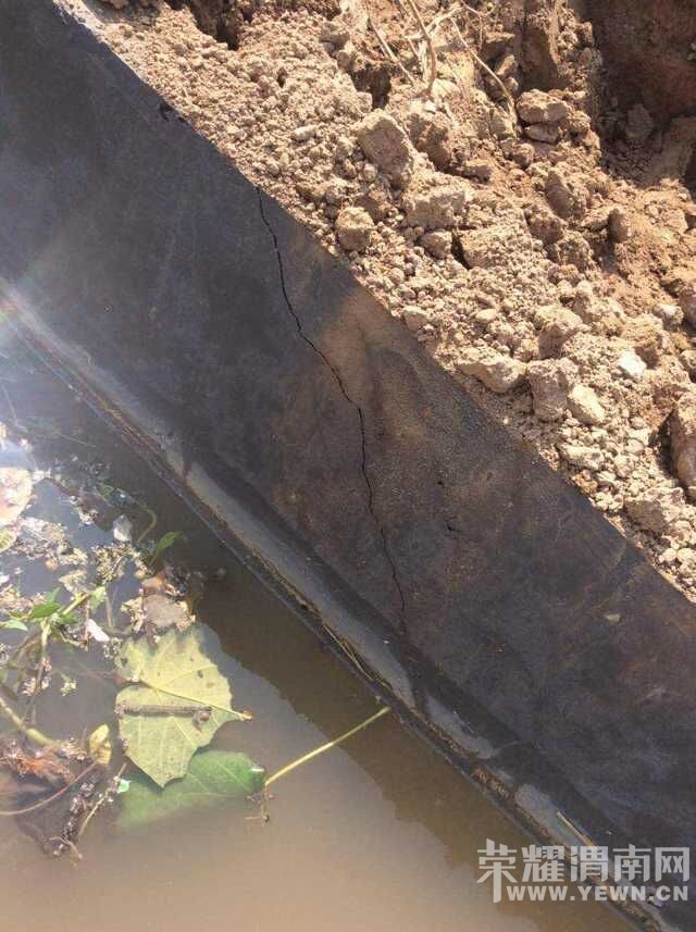 ˭���԰�����ǣ� ����ɢ  �������лл�����