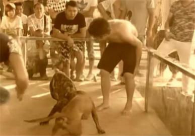 ���¶����ֳ�Ѫ�ȱ��� ��ע��߶�һ��Ԫ(ͼ)