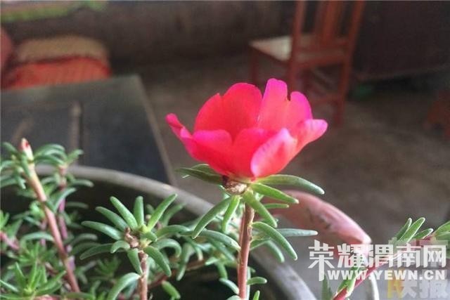 ����Ů���°�ؼ�·����������Ӷ��ǿ��