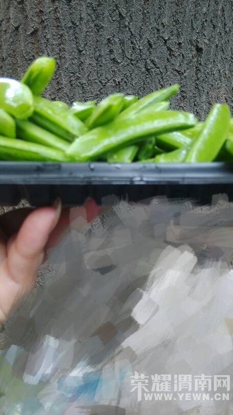 ȥ��������һ��Ҫ������ �����𶹽ǡ��͡�4������