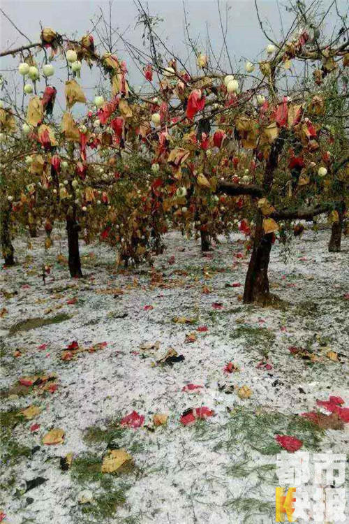 ��ˮ�������������ƻ������