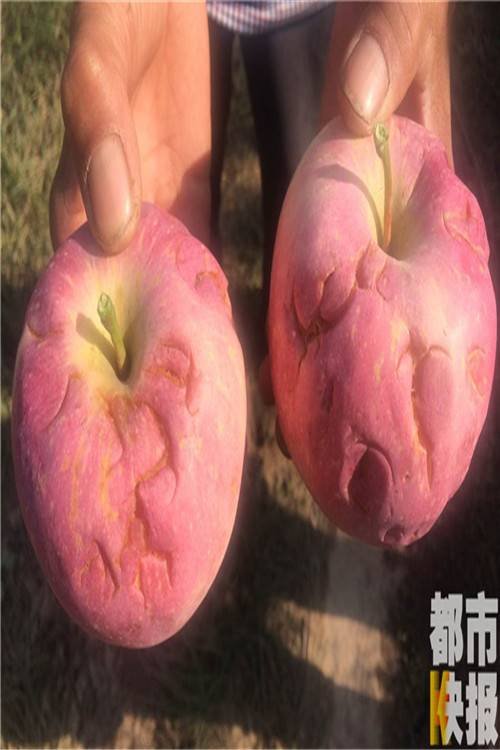 ��ˮ�������������ƻ������