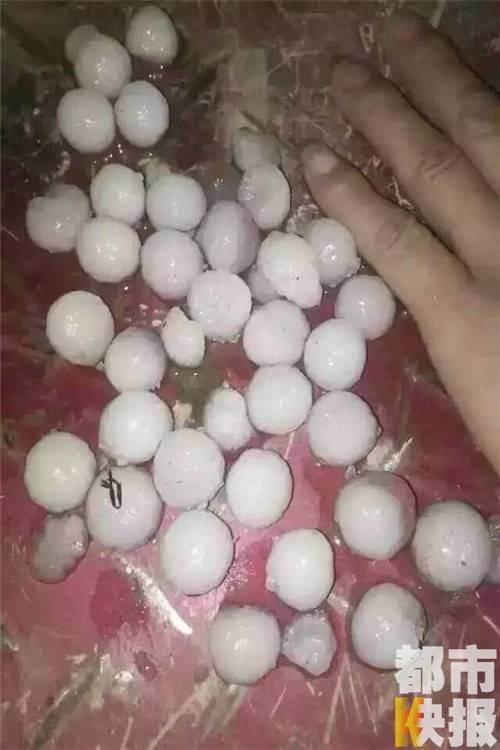 ��ˮ�������������ƻ������