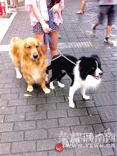 Ů�ӳ����޹�û˩�������� �Ϻ�:������������