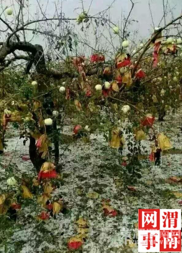 ��ˮ����������ܱ����������ֺ� ��ũ��ʧ����