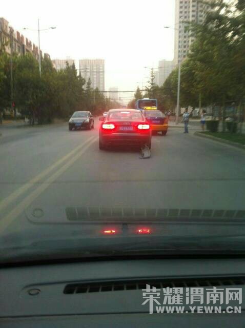 �µϴ��Ϲң�������� �Ͻ����ҵ�ɶ��