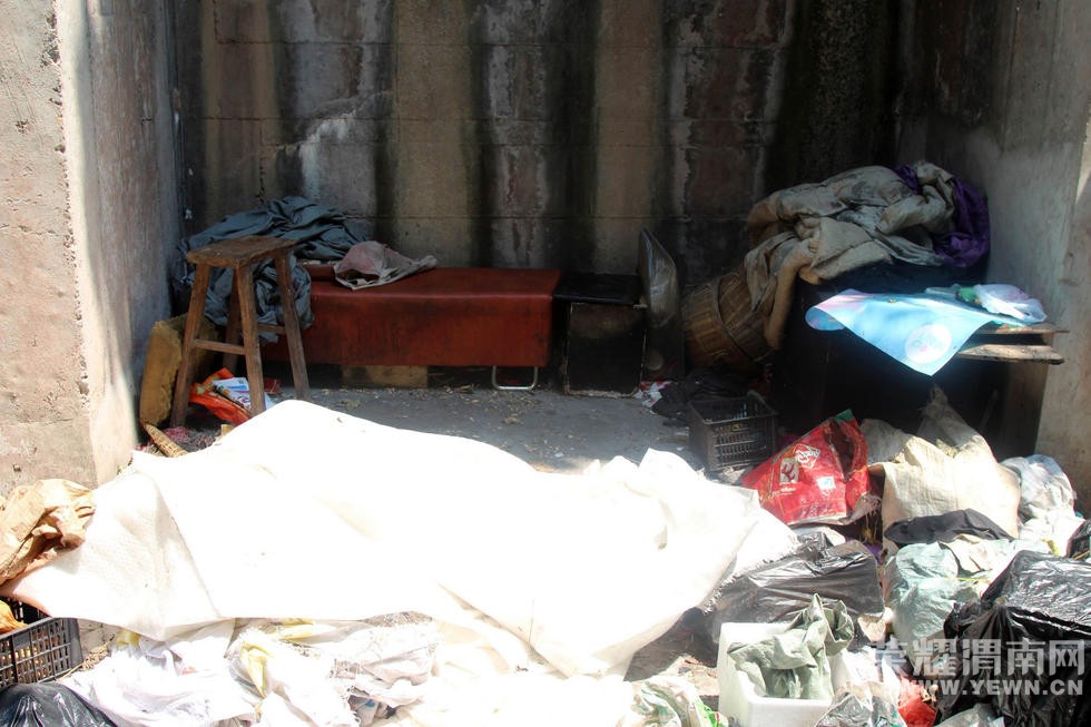 ���ӡ�Ѩ�ӡ��Ŷ� ʡ��ס�޷�Ϊ�����������