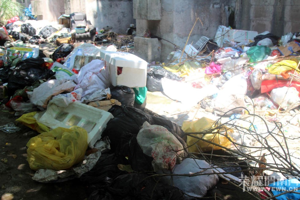 ���ӡ�Ѩ�ӡ��Ŷ� ʡ��ס�޷�Ϊ�����������