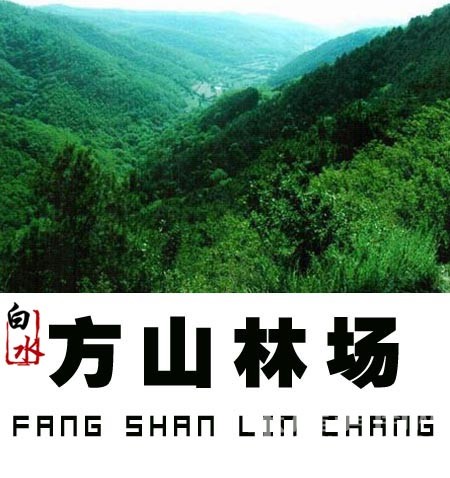 μ���ܱߵ�17��ɽ����֪��������