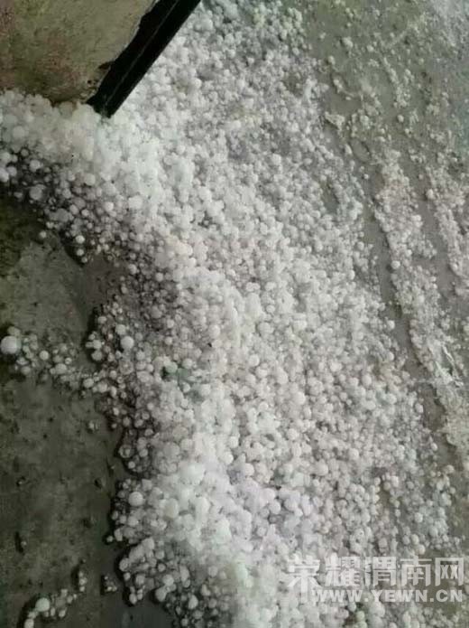 8��28�հ�ˮ������ũ����ȫ���򻵣������Ƿ��в�����