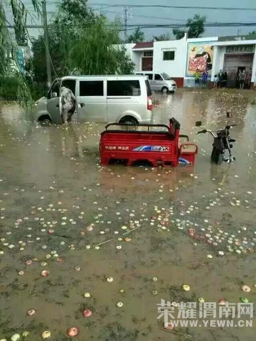 8��28�հ�ˮ������ũ����ȫ���򻵣������Ƿ��в�����