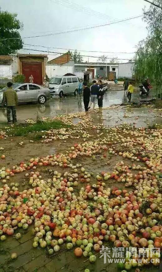 8��28�հ�ˮ������ũ����ȫ���򻵣������Ƿ��в�����