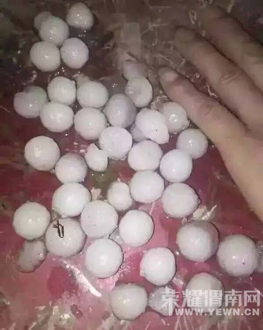 8��28�հ�ˮ������ũ����ȫ���򻵣������Ƿ��в�����