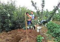 ï���������ӷ������д�������ï�걣��������