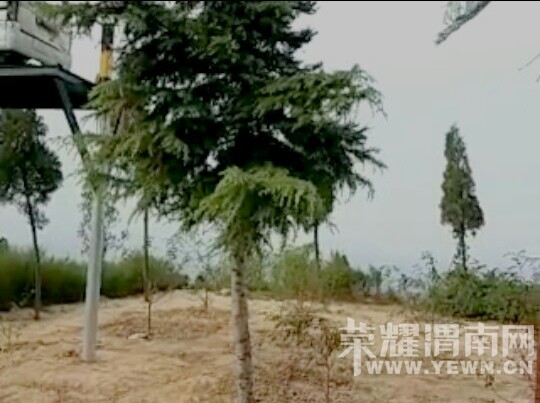 ʮ���̡��ع�̨��