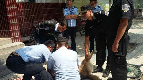 μ����Ȫ��ѧѧ�������ն�ȮУ԰ҧ�� ����4��