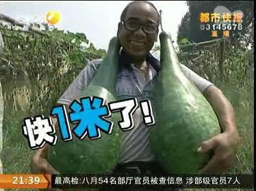 ��Ѯ�����ֳ�������«�� �߽�һ���ذ˽�