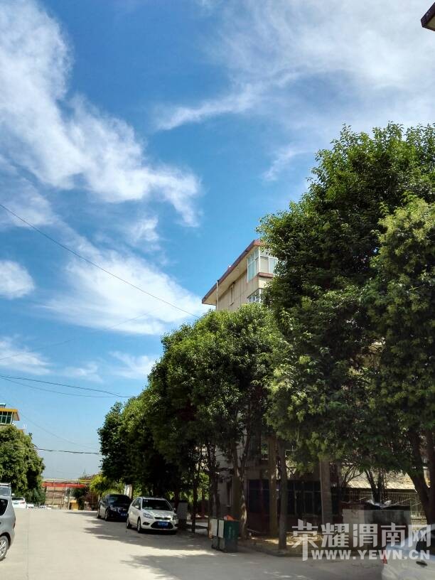 �����������죬������~������Ŷ