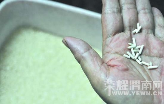 ̯������ֽ�Ƽٴ��� �������ʳ�ð���(ͼ)