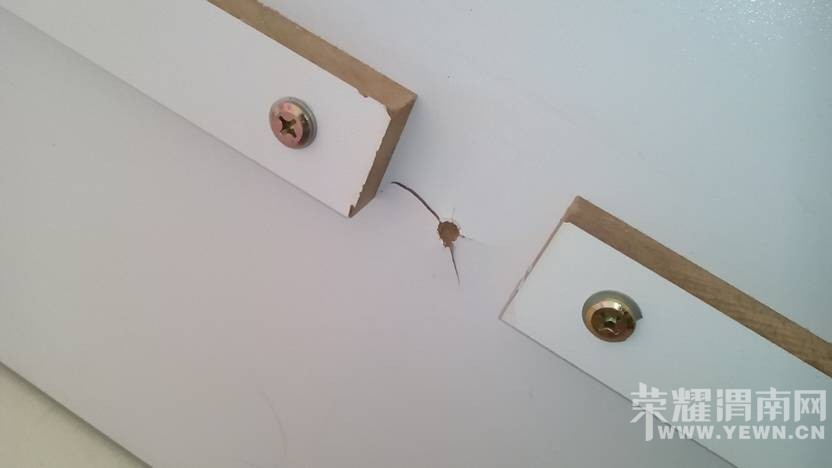 ����ȫ�ѼҾ�����������Ҳ�����ˣ�