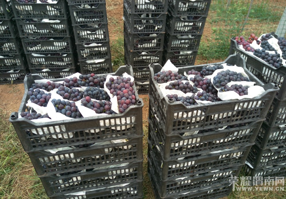 μ������μ��9��3�ŷ���5000�����ѣ��Ǹ����̺ڰ���