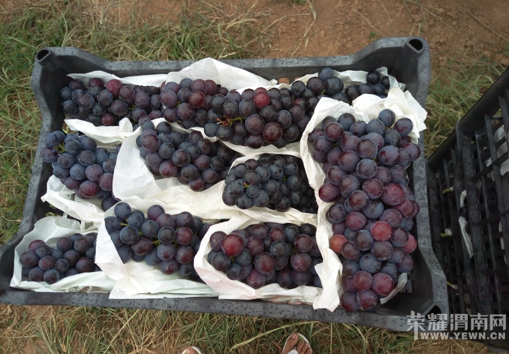 μ������μ��9��3�ŷ���5000�����ѣ��Ǹ����̺ڰ���